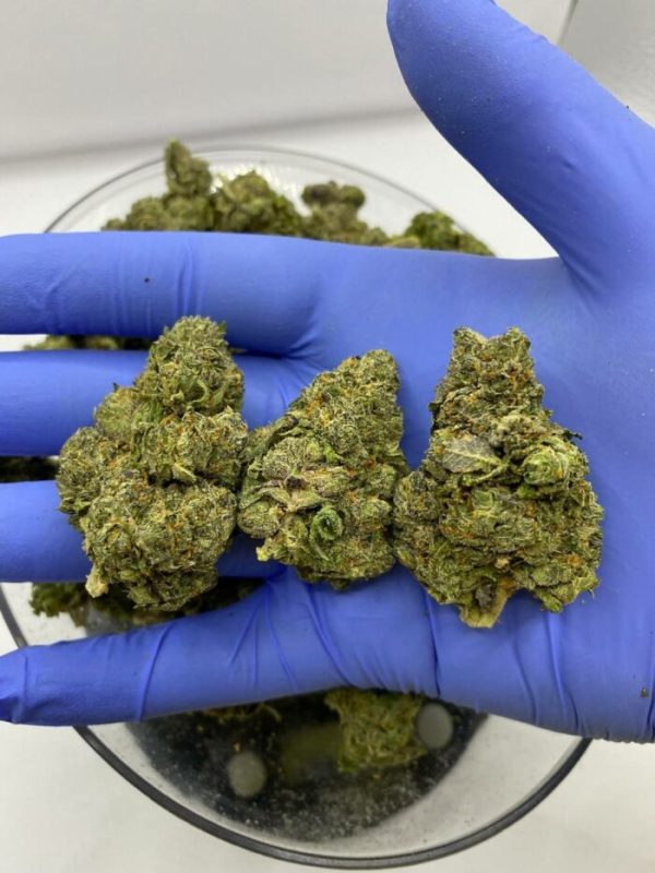 Buy Blueberry Weed